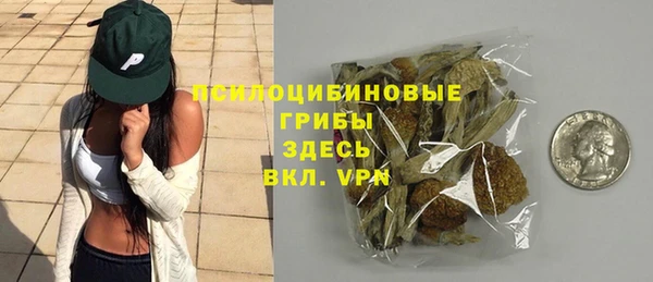 амф Кодинск
