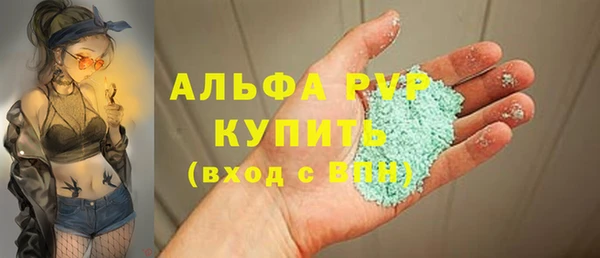 PSILOCYBIN Козельск