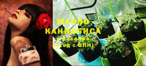 крисы Надым