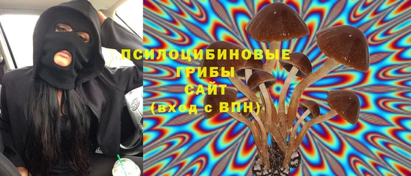 PSILOCYBIN Козельск