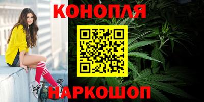 шишки Камышлов