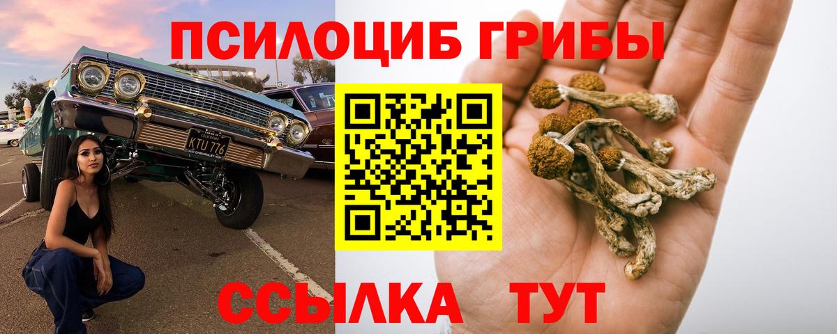 Псилоцибиновые грибы Magic Shrooms  Вход с VPN  Троицк  Псилоцибиновые грибы Cubensis 