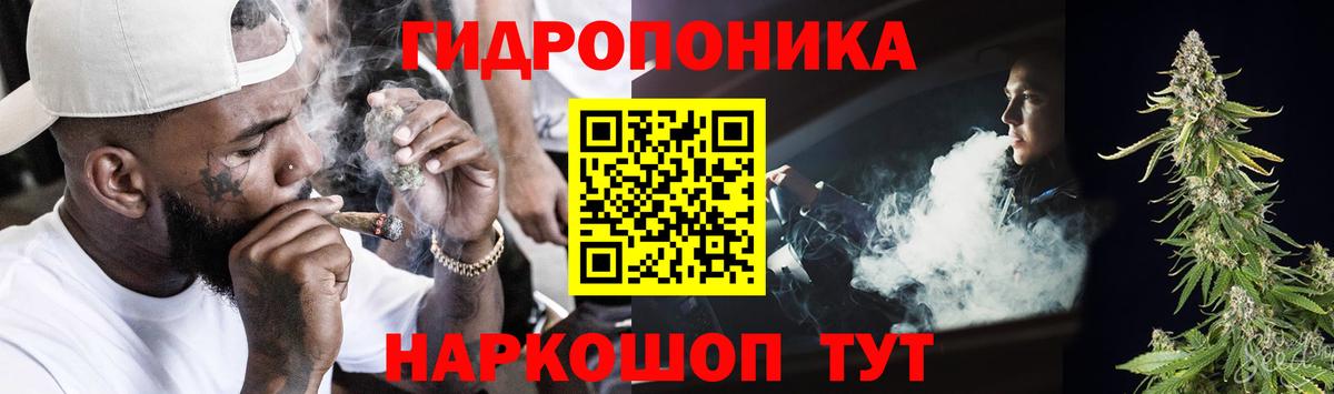 Шишки марихуана гибрид Троицк